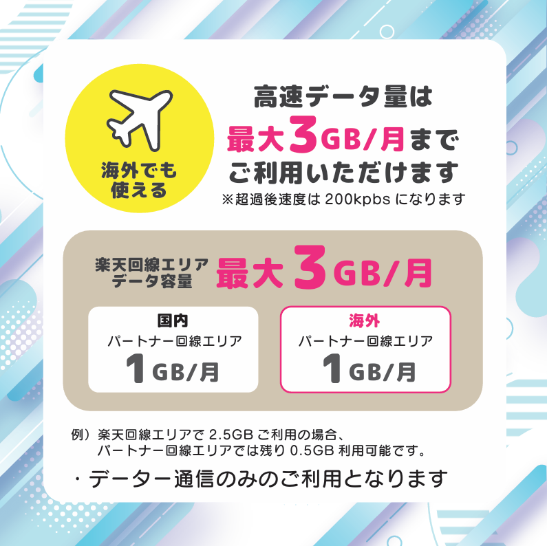 WINNER NEXUS様 専用プラン（3GB/月 最大13ヶ月利用可能）
