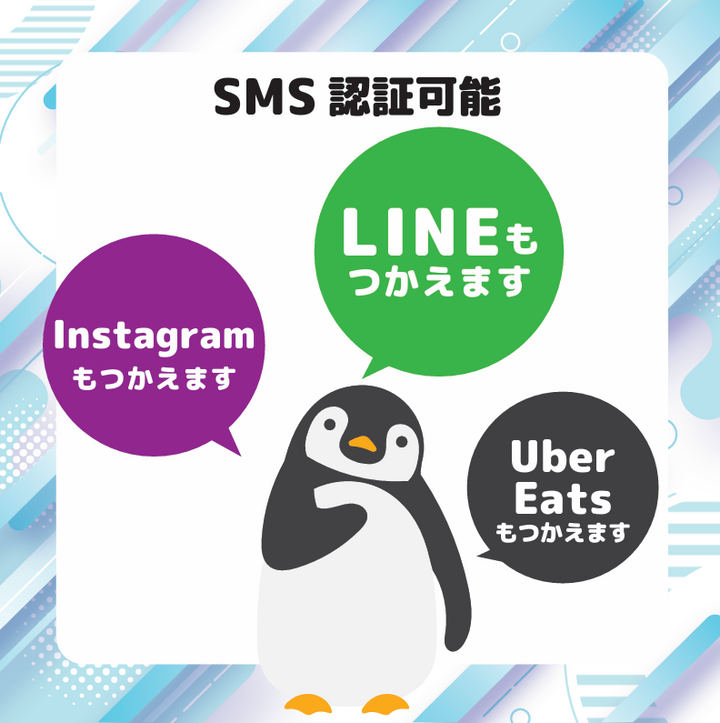 WINNER NEXUS様 専用プラン（3GB/月 最大13ヶ月利用可能）