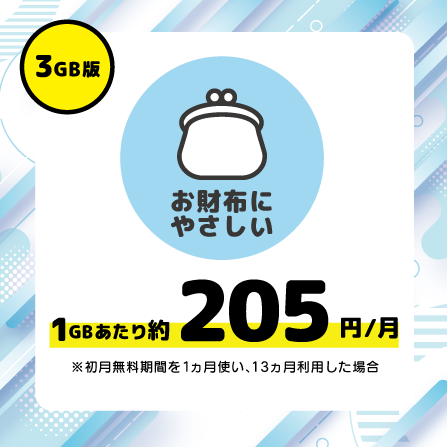 WINNER NEXUS様 専用プラン（3GB/月 最大13ヶ月利用可能）