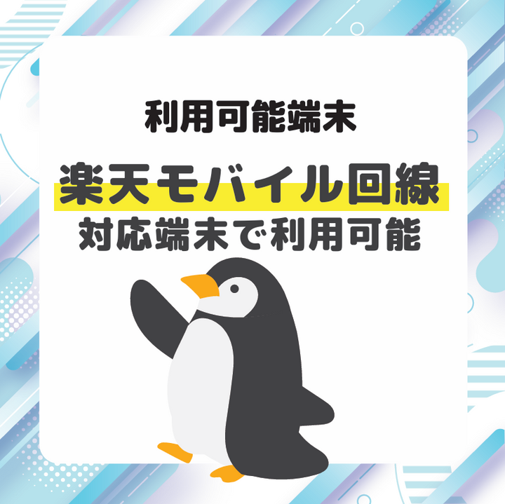 WINNER NEXUS様 専用プラン（3GB/月 最大13ヶ月利用可能）